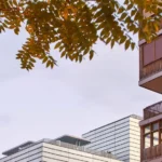 Rooftop Garden of the O'Donnell Maternity Hospital by Padilla Nicás Arquitectos
