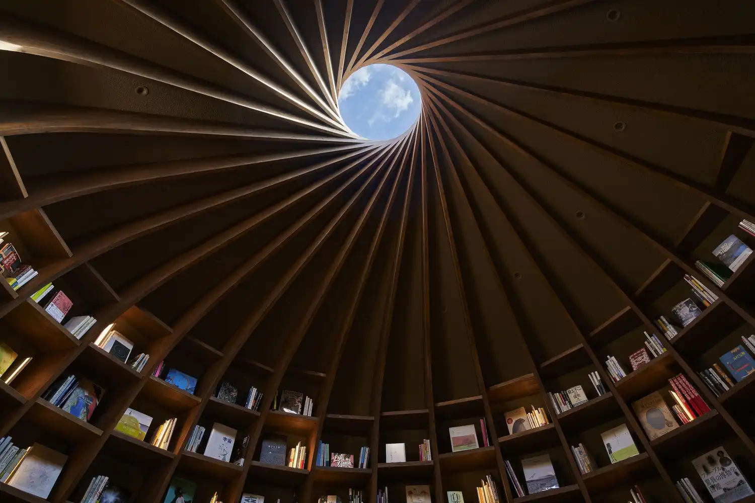Library in the Earth by Hiroshi Nakamura & NAP
