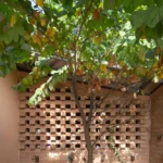 Chieng Ban Kindergarten by 1+1>2 Architects