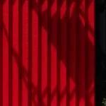 Pergola Community Arts Space by CLUSTER & THISS Studio