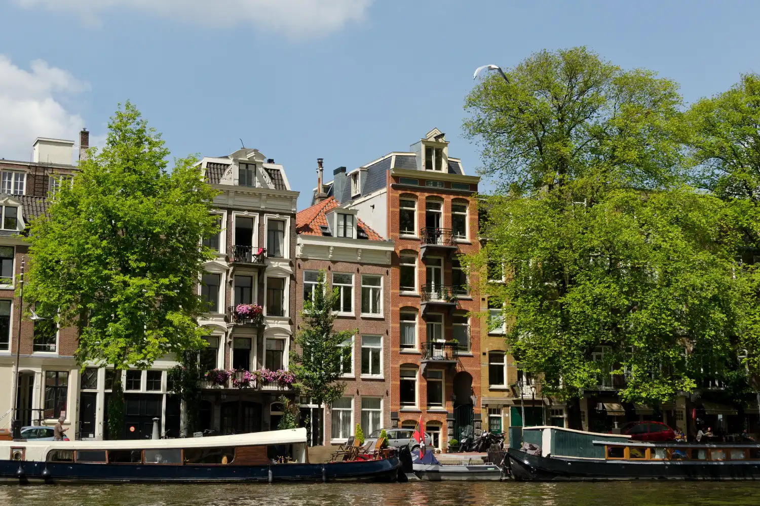 Cheap Canal-Side Apartments in Amsterdam: Best Areas, Prices, and Architectural Features