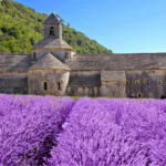 Affordable Eco-Villages in Southern France: Where to Find Them and What They Cost