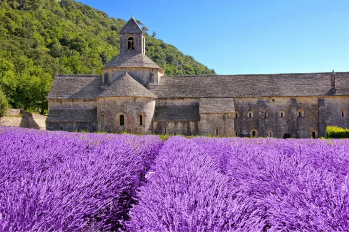 Affordable Eco-Villages in Southern France: Where to Find Them and What They Cost