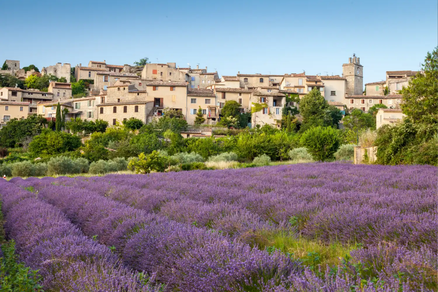 Affordable Eco-Villages in Southern France: Where to Find Them and What They Cost
