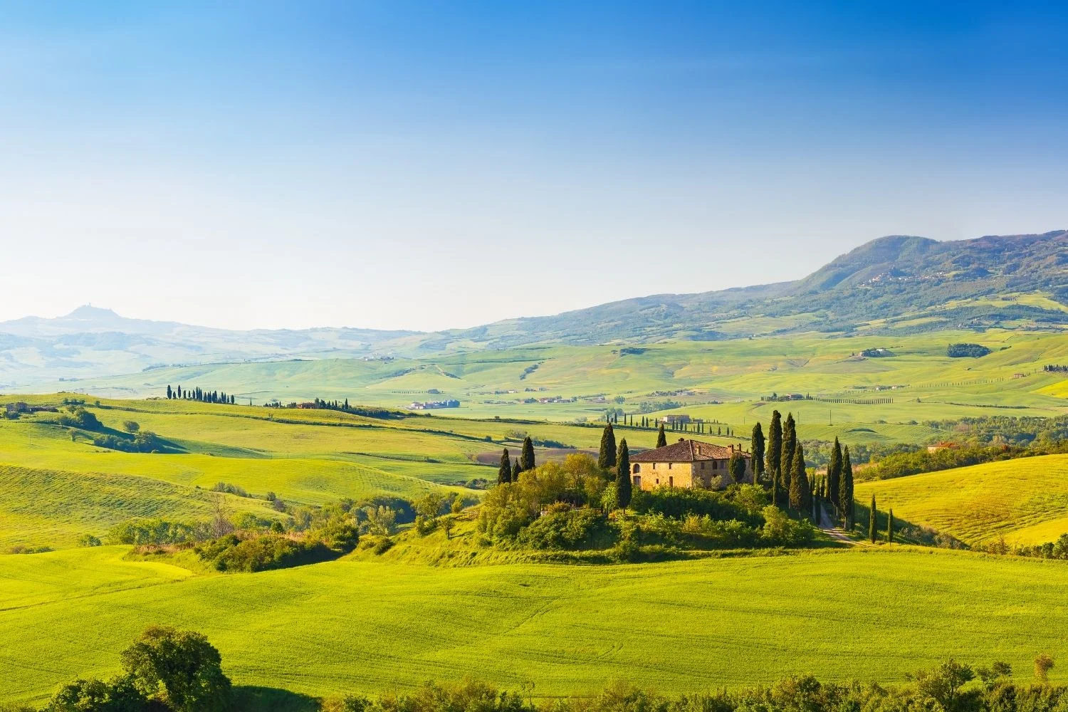 Best Farmhouse in Tuscany: Affordable Stays and Renovation Picks