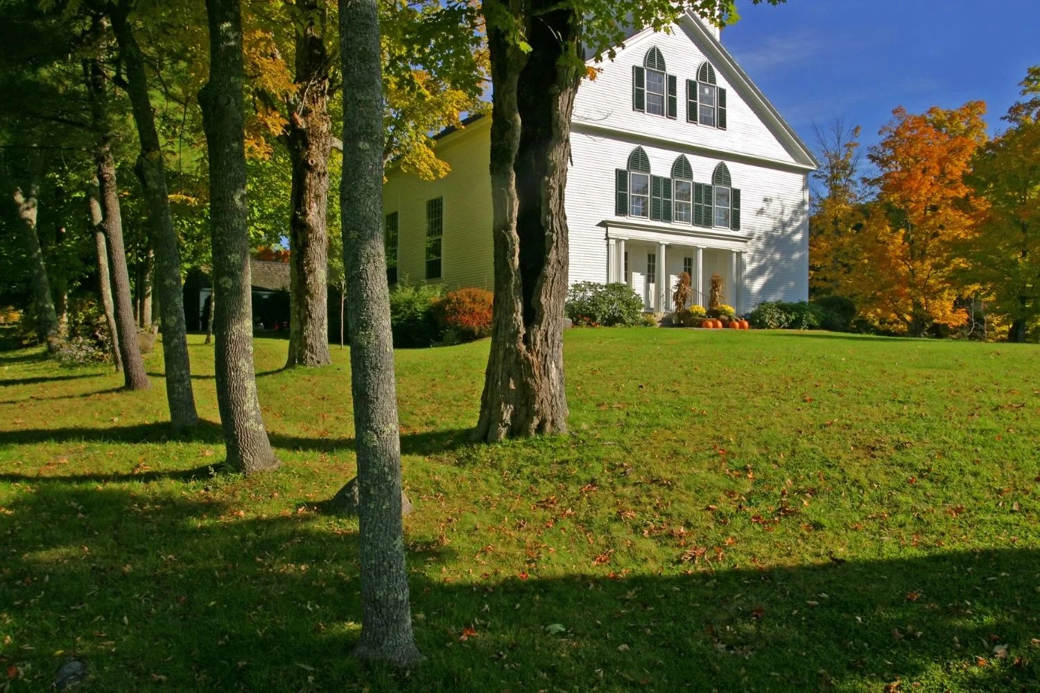 Best Farmhouse in Tuscany: Affordable Stays and Renovation Picks