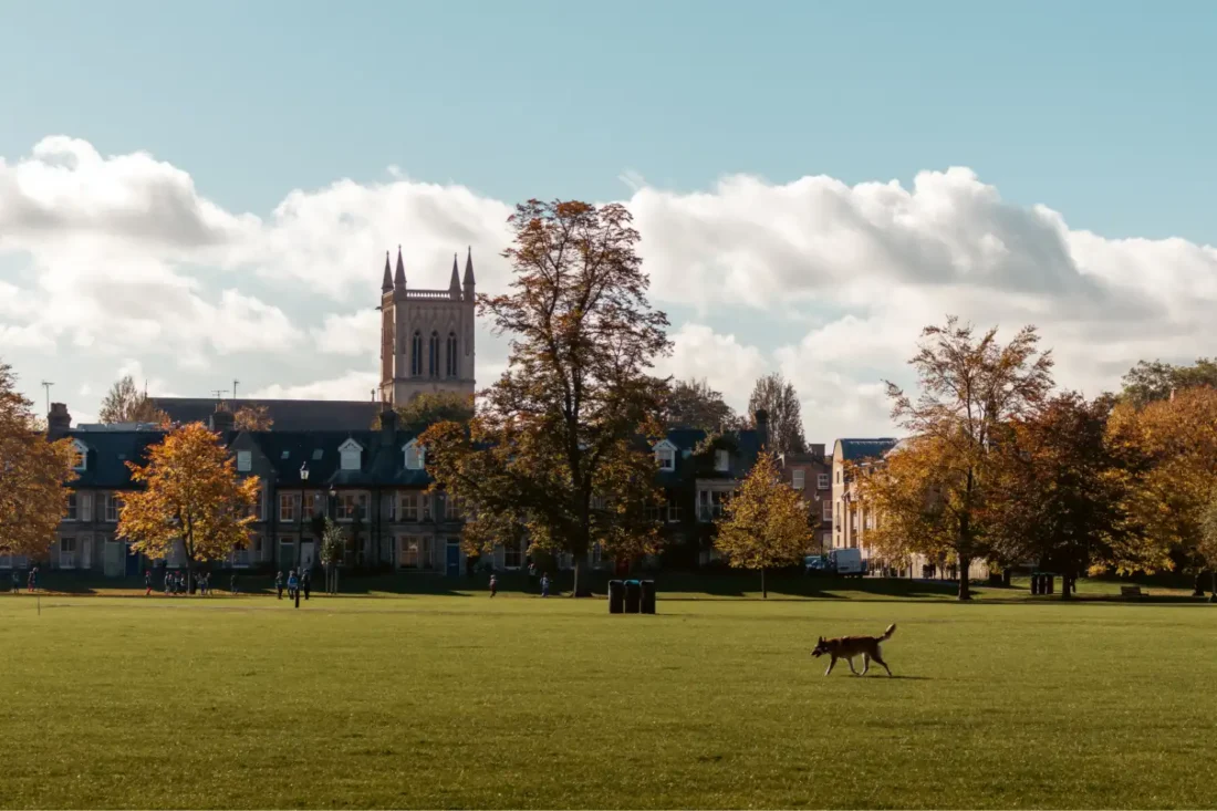 Top 5 Most Affordable Architecture Schools in the USA