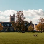 Top 5 Most Affordable Architecture Schools in the USA