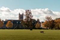 Top 5 Most Affordable Architecture Schools in the USA