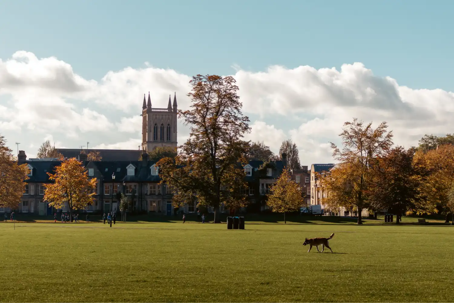 Top 5 Most Affordable Architecture Schools in the USA