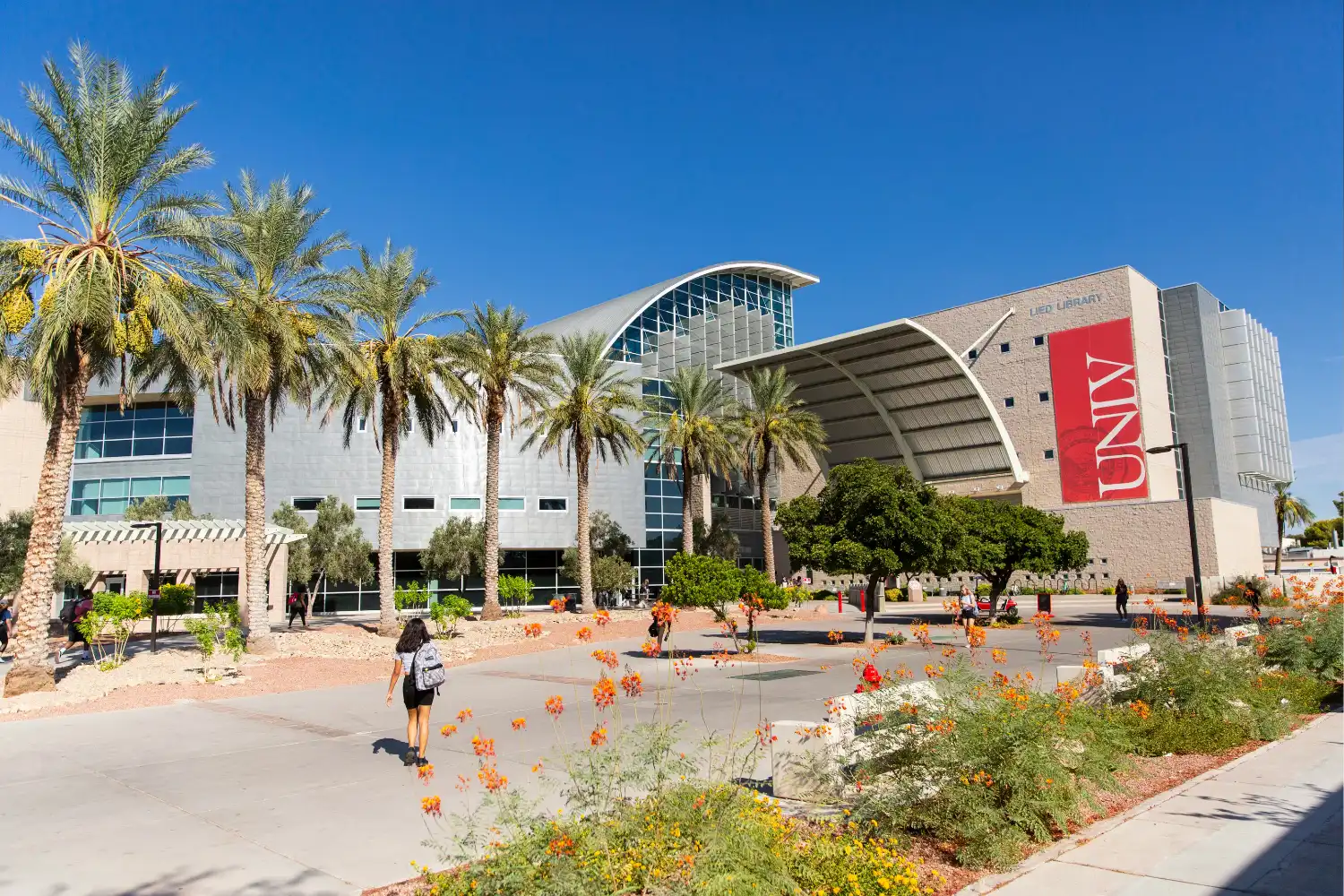 Top 5 Most Affordable Architecture Schools in the USA