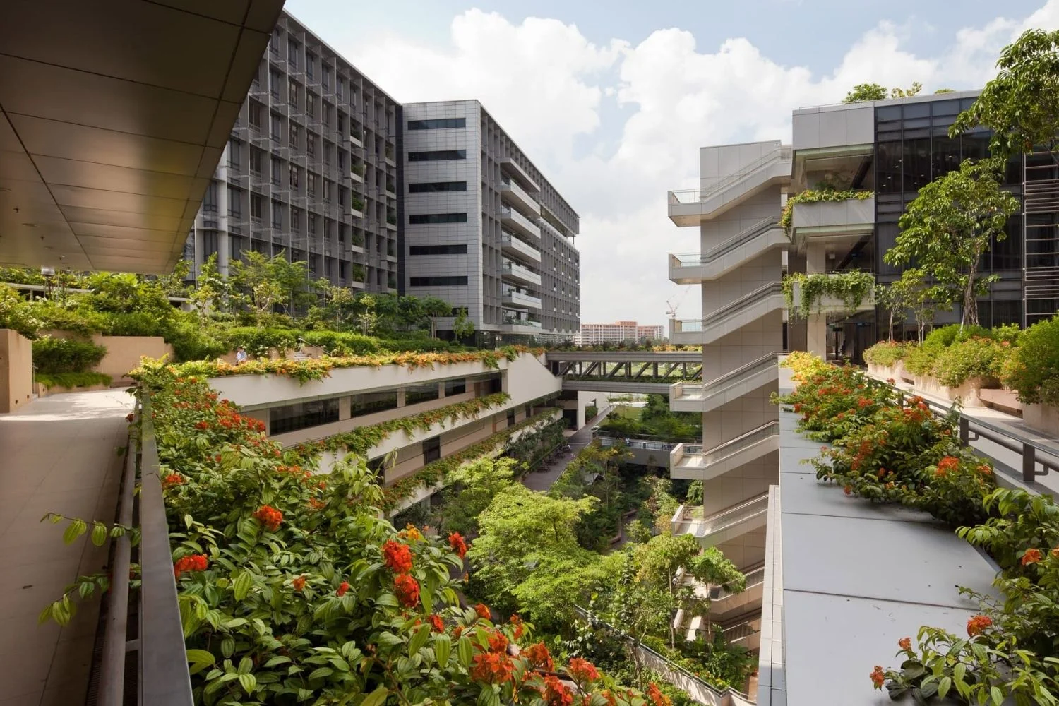 Design for Biocompatibility: 10 Examples in Modern Architecture