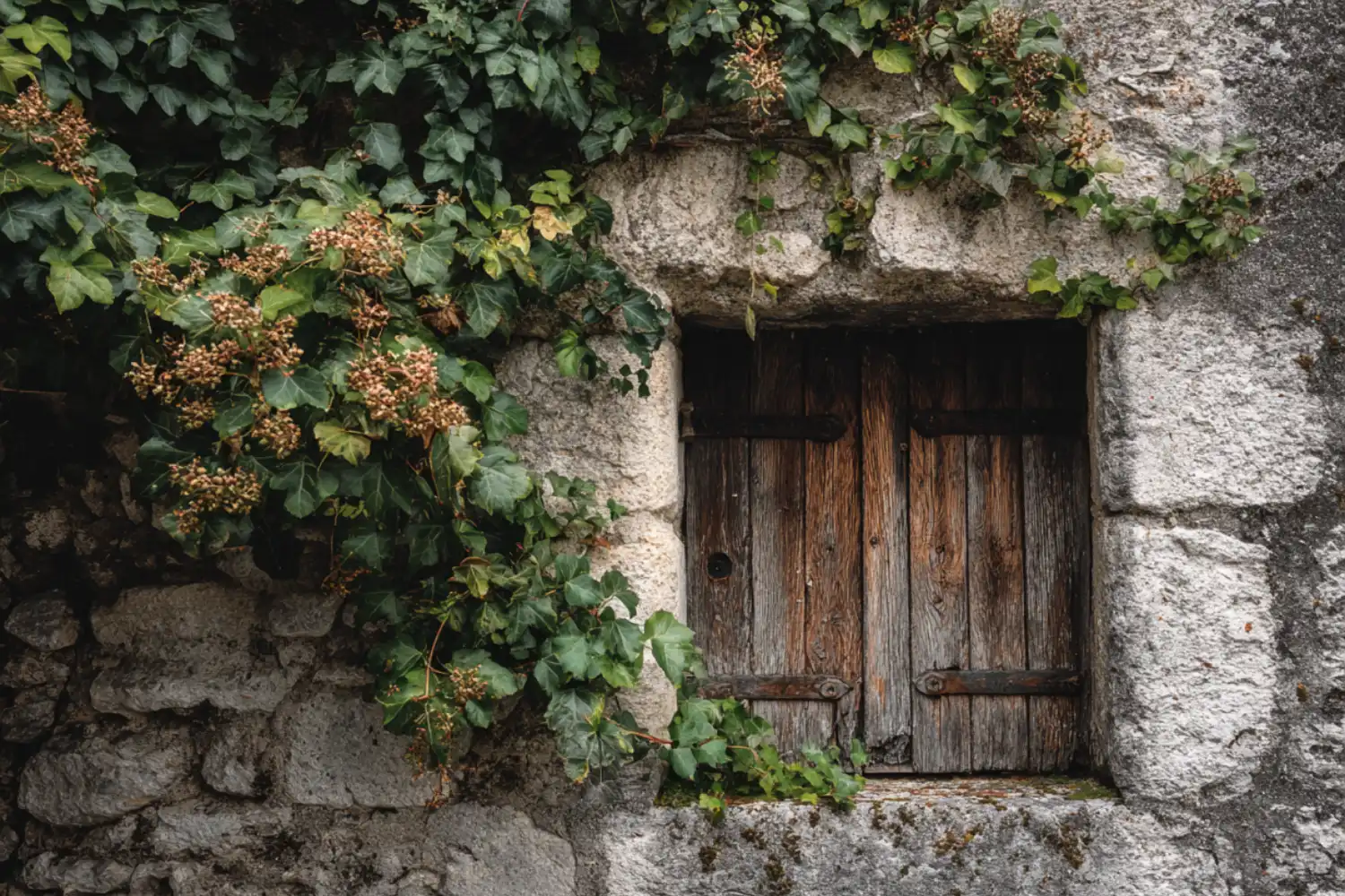 How to Buy a Budget Castle in France Without Going Broke