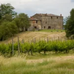 Cheap Farmhouses in Tuscany: Where to Buy and What to Expect