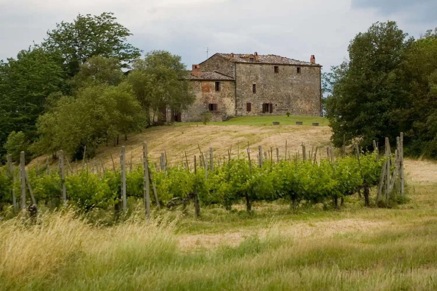 Cheap Farmhouses in Tuscany: Where to Buy and What to Expect