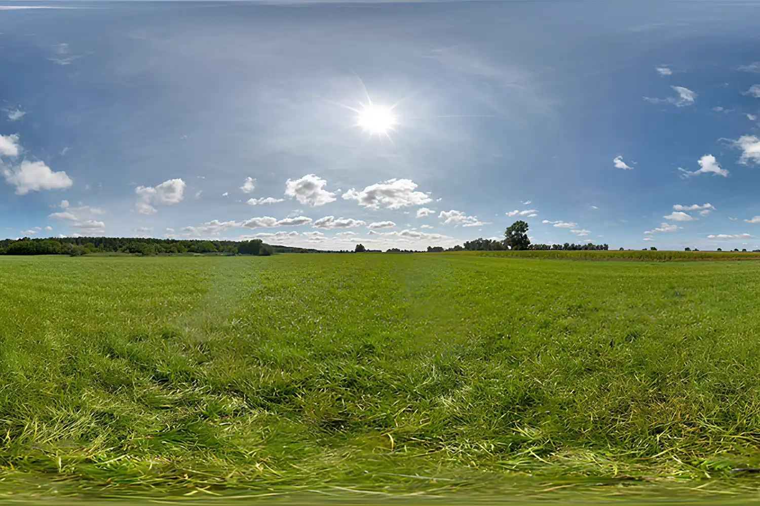 7 Free HDRI Websites Every Architect Should Bookmark for Photorealistic Rendering