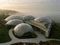 Biomimicry in Architecture: Learning from Nature to Build Better