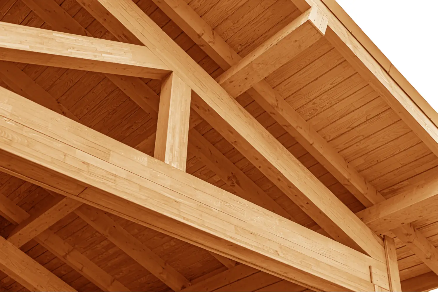 What Is Cross-Laminated Timber and Why It Matters in Architecture