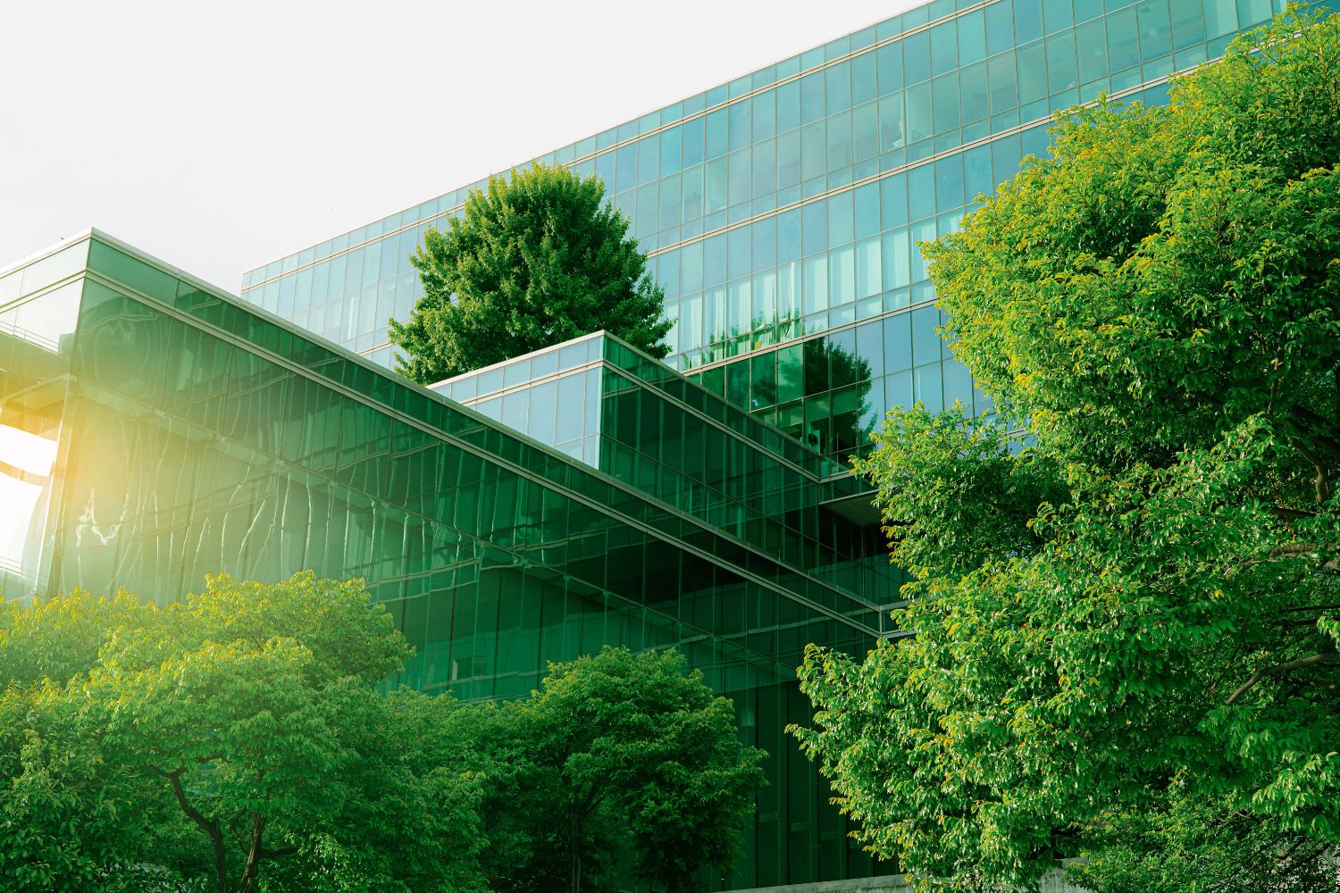LEED vs BREEAM vs WELL: Which Building Certification Fits Your Project?
