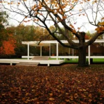 Mid-Century Modern Architecture: A Complete Guide to the Style