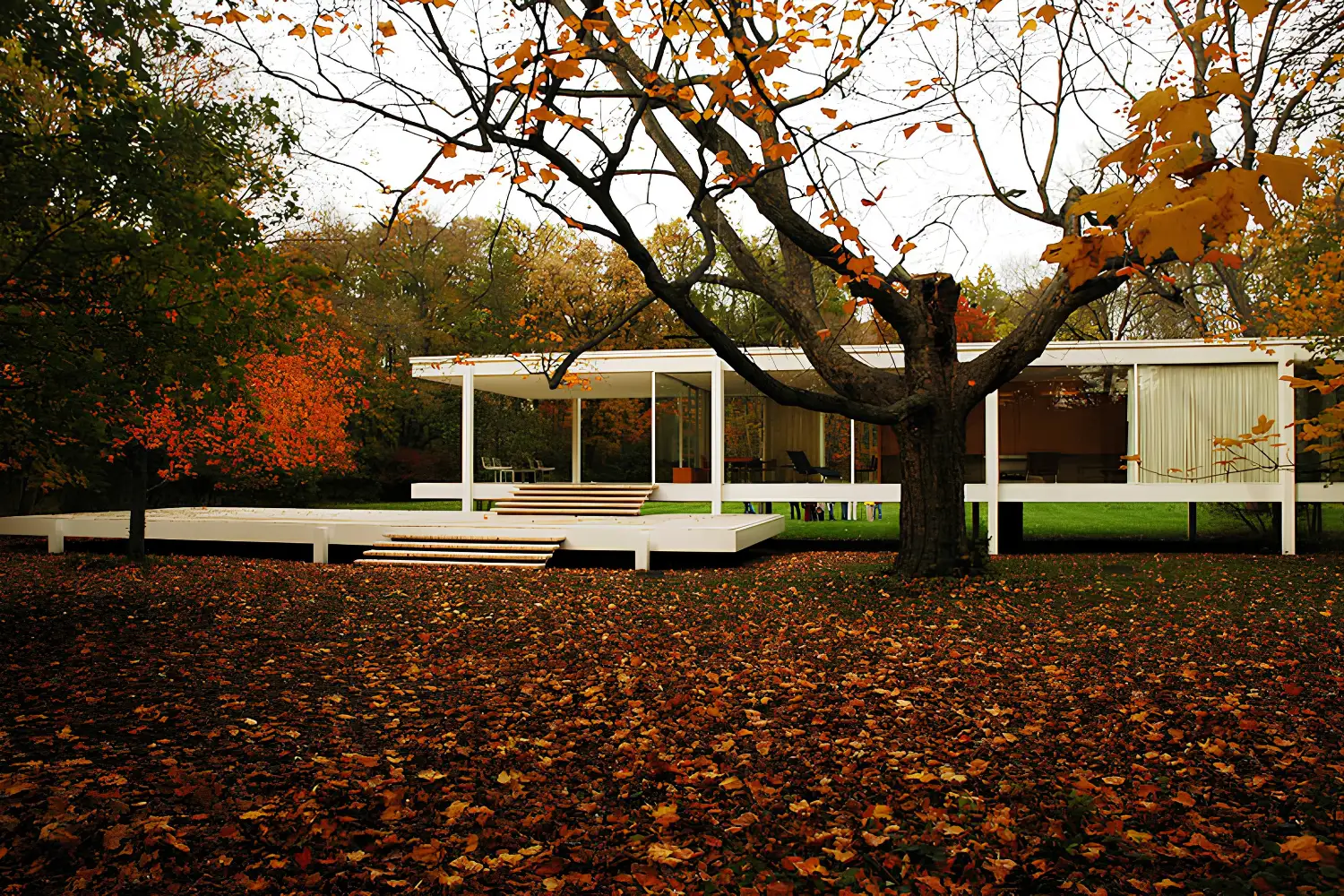 Mid-Century Modern Architecture: A Complete Guide to the Style