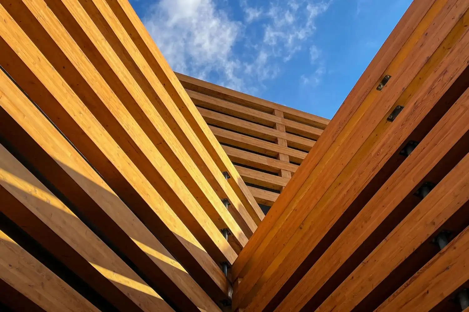 Mass Timber Buildings vs Concrete vs Steel: What the Numbers Actually Show