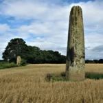 Two of the Devil's Arrows standing stones rising from a barley field near Boroughbridge
