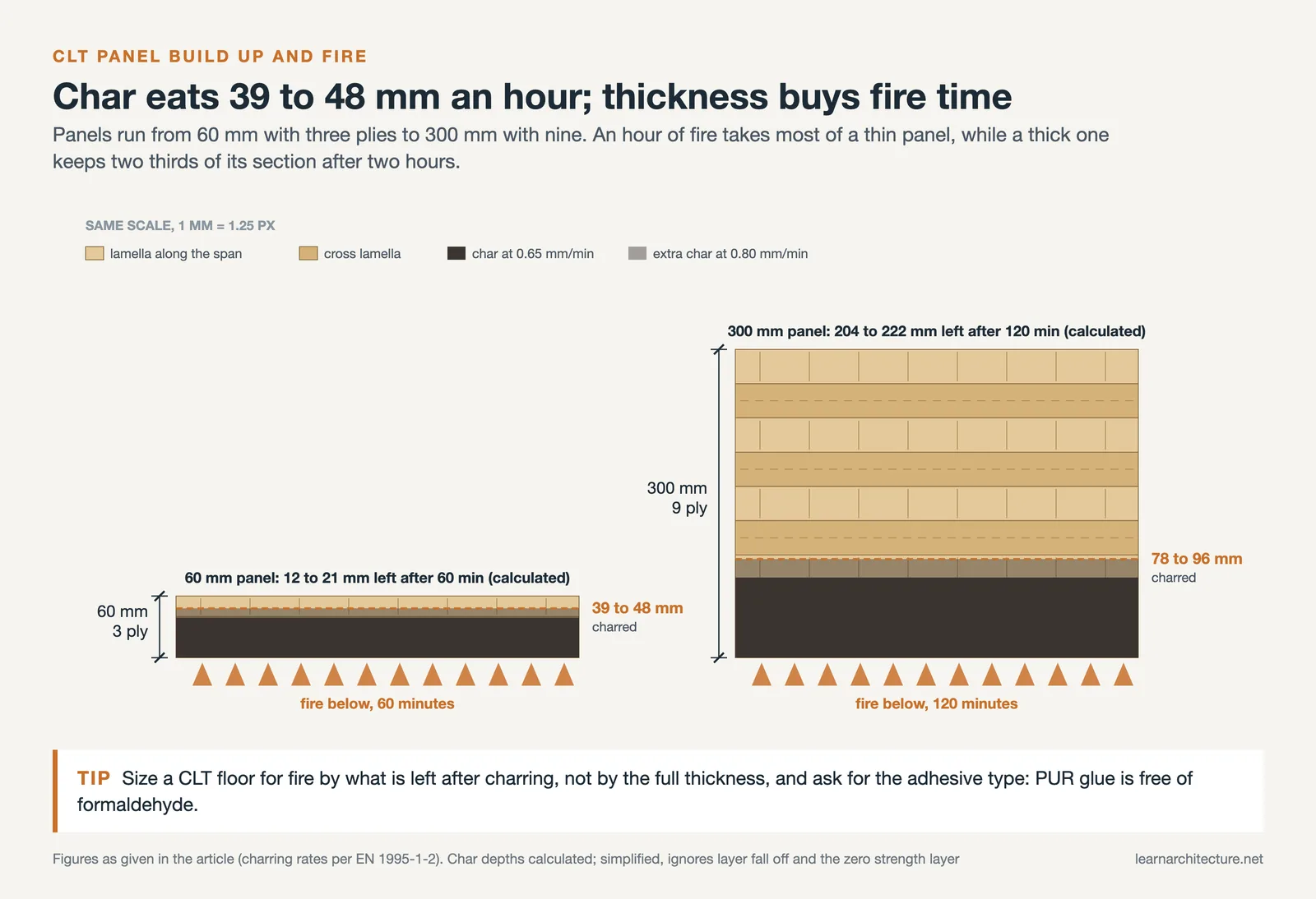 60 mm 3 ply and 300 mm 9 ply CLT sections to one scale, with char depth after 60 and 120 minutes of fire