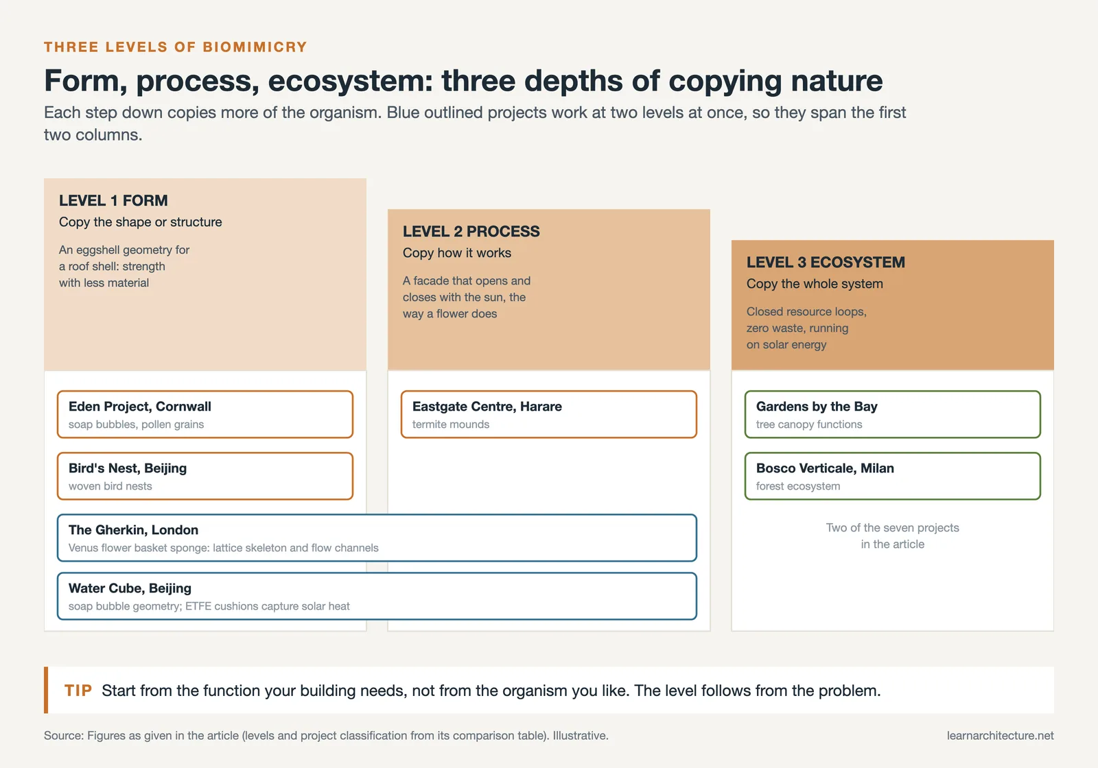 Three levels of biomimicry, form, process and ecosystem, with the seven projects in the article placed on each level