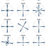 Grid of polar wind-rose style diagrams for various cities, each showing directional patterns as blue petal shapes
