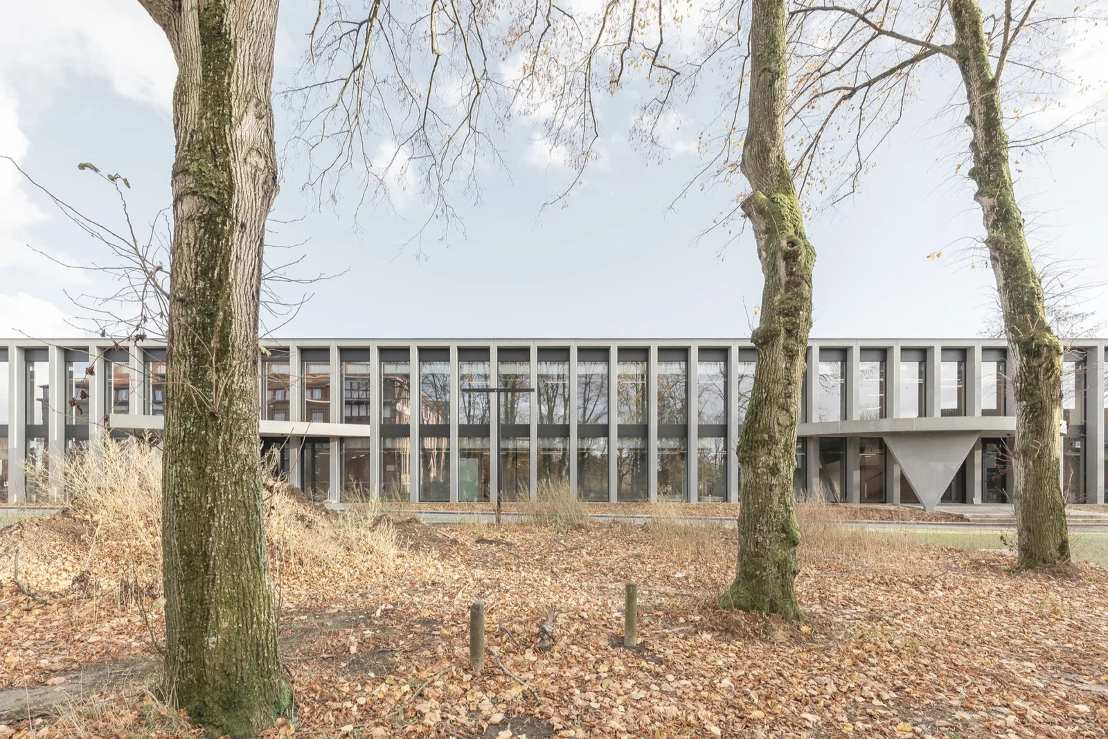 College Cardinal Mercier by LT2A and OPEN ARCHITECTES among the woodland trees