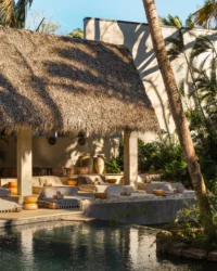 Esh Hotel and Spa by FAMM Arquitectura, the thatched palapa above the pool at Nosara
