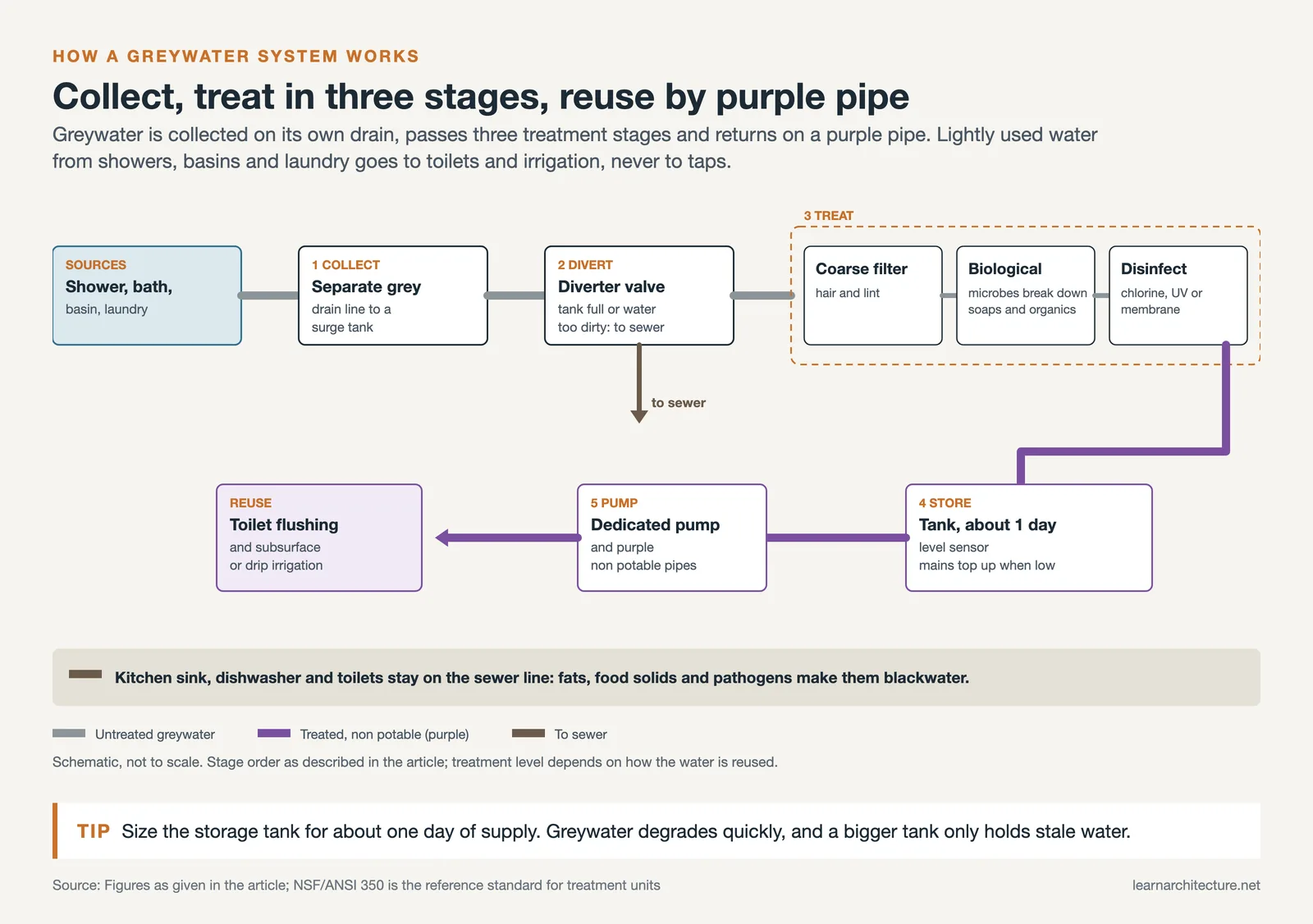 Greywater flow from shower, basin and laundry through diverter, filter, biological and disinfection stages to a purple pipe