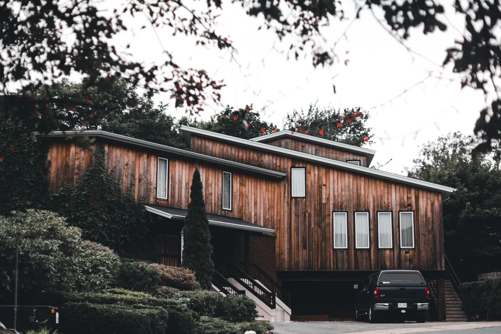 Contemporary house clad in dark stained timber with planting along the entrance path