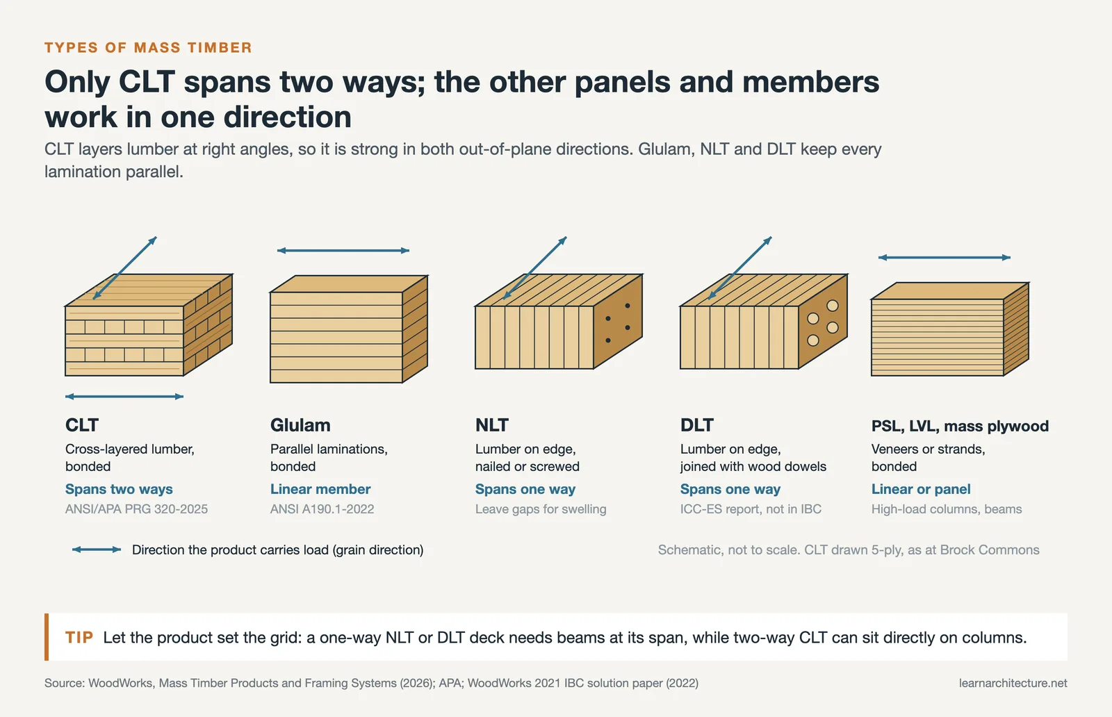 Mass timber products side by side: two-way CLT and one-way glulam, NLT, DLT and PSL or LVL