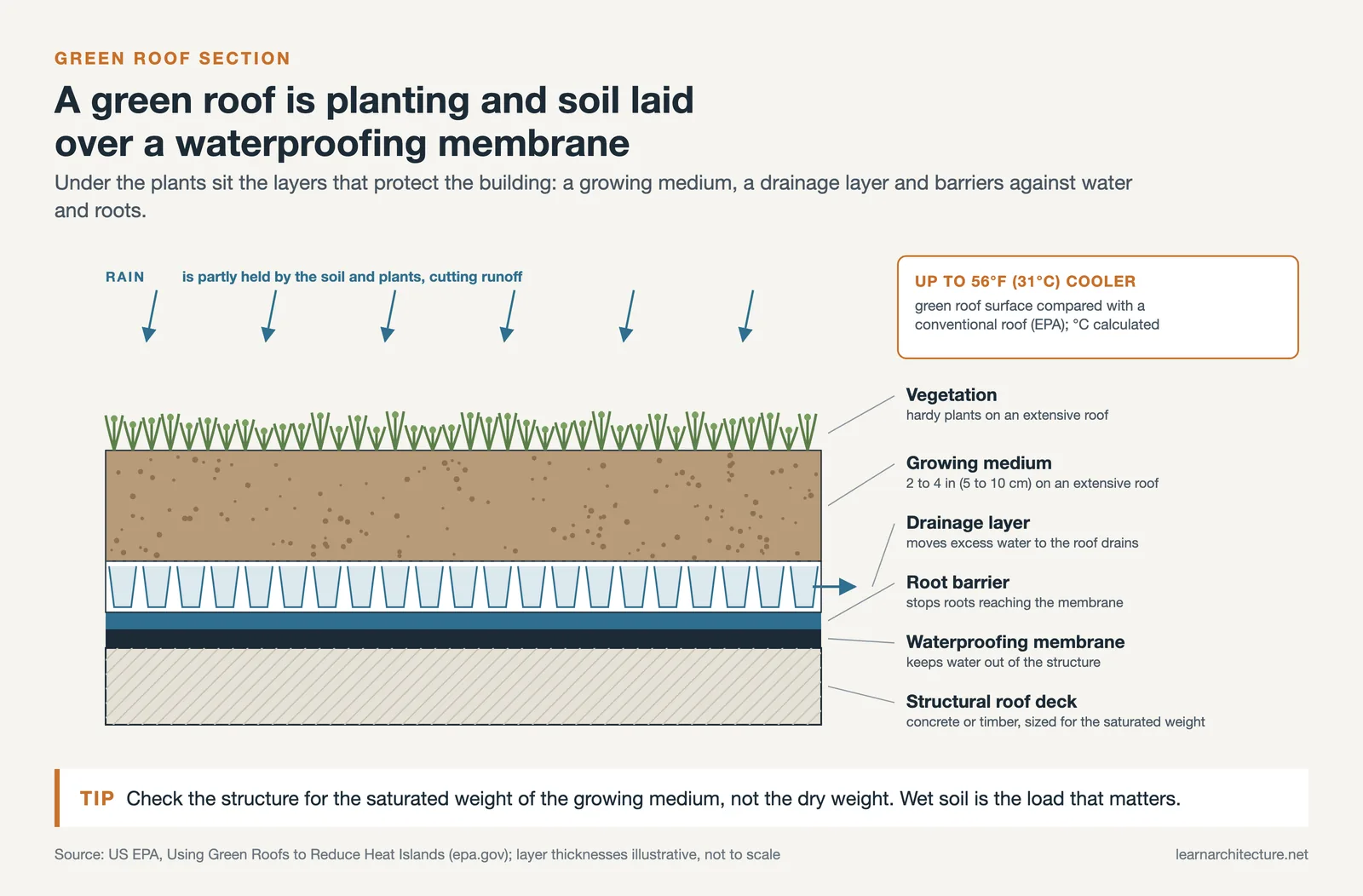 Green roof section: vegetation, growing medium, drainage layer, root barrier and waterproofing membrane on the roof deck