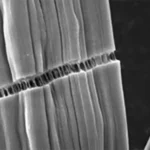 microscopic close-up of carbon fiber strands