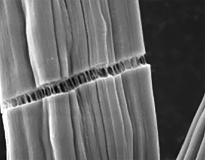 microscopic close-up of carbon fiber strands