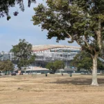 Lucas Museum of Narrative Art under construction in Exposition Park, Los Angeles, its curved white form seen from street level