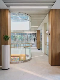 Timber-lined interior with planting at Narxoz University Business School