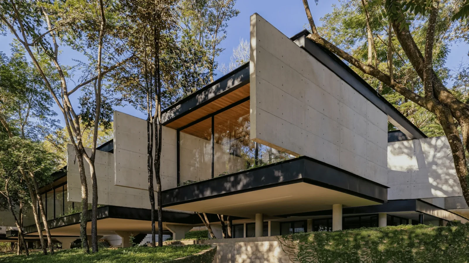 Cantilevered concrete volumes on dark steel bands rising among tall trees on a grassy slope