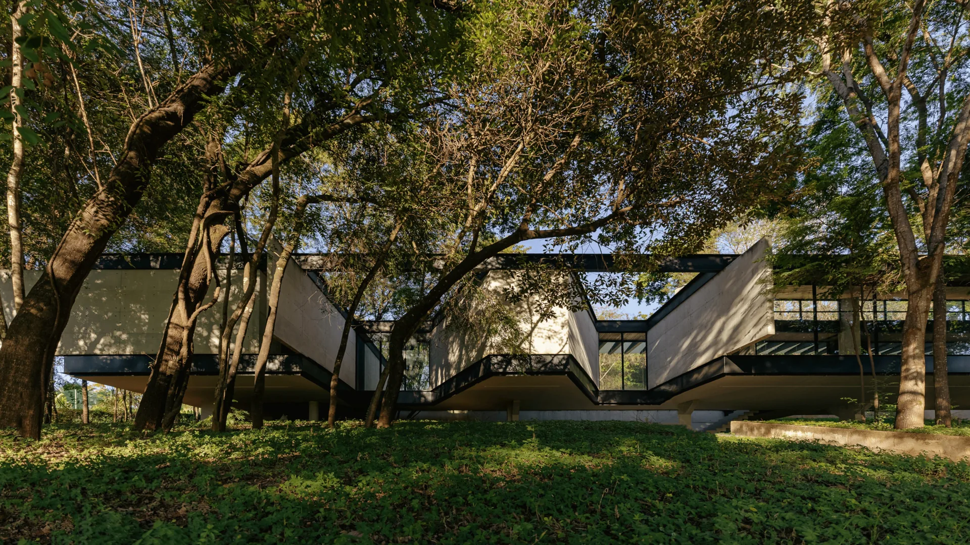 Wide view of the house stretched beneath the tree canopy with angled concrete planes