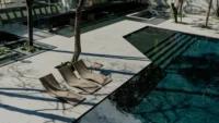 Paved terrace with sun loungers and a tree growing through the deck next to the pool