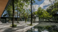 Shallow reflecting pool with trees growing in it and the glazed wings around the courtyard