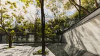 Board formed concrete wall casting a shadow across a reflecting pool and young trees