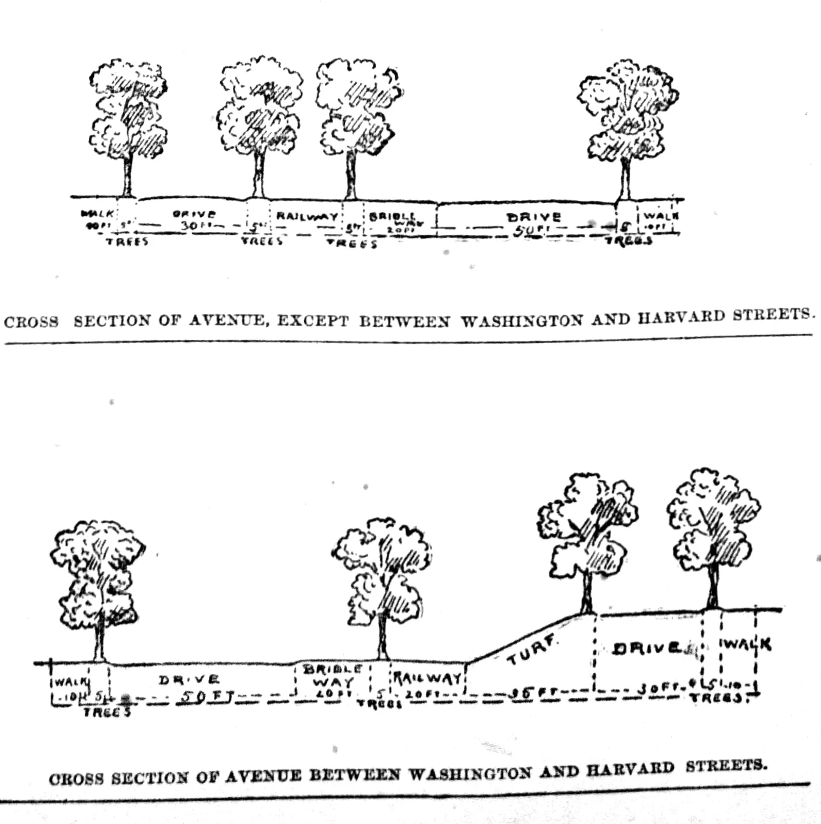 Beacon Street cross sections (1887), Brookline, USA, with walks, drives, bridle way, railway and tree strips