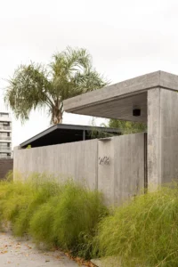 Concrete entry volume with a cantilevered roof and a palm tree behind tall grasses