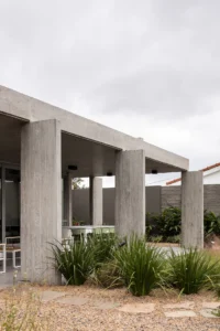 Row of board marked concrete columns supporting the roof slab beside spiky planting