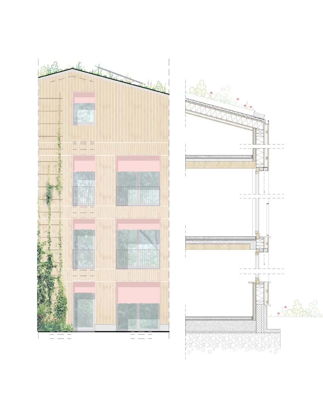 Pale colored technical elevation and section of a brick and timber facade, with material layers