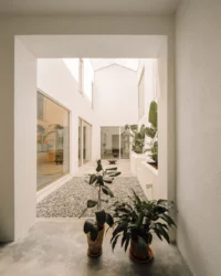 View through a deep white opening into the courtyard with potted plants on the concrete floor